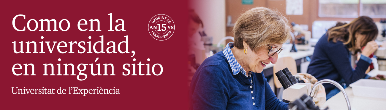 Curso 2025-26