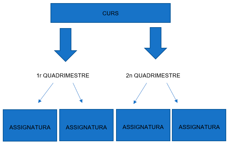 Estructura cursos