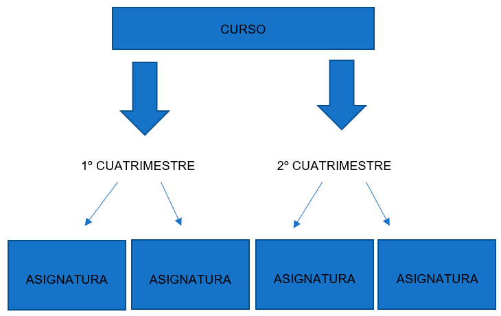 Estructura cursos